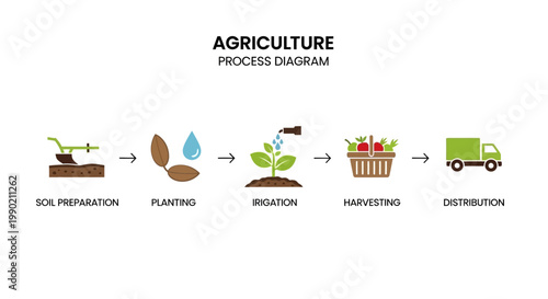 Agriculture process diagram: soil prep, planting, irrigation, harvest, distribution. Farm to truck.