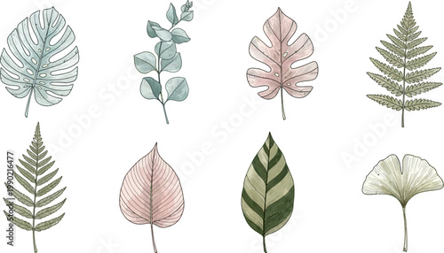 Collection of hand drawn watercolor style botanical leaves including monstera fern eucalyptus ginkgo and tropical foliage elements