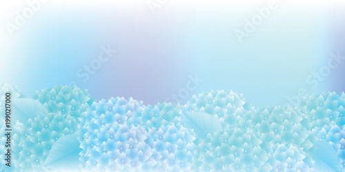 Beautiful Hydrangea Flowers Background in Soft Pastel Blue Tones