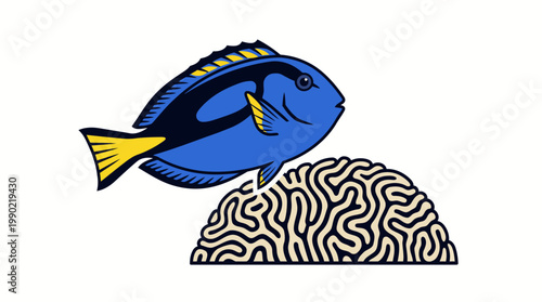 Blue Tang Fish Swimming Over Brain Coral Illustration.