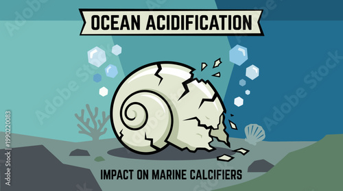 Ocean Acidification Impact on Marine Calcifiers Illustration.