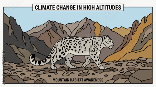 Snow leopard walking in its natural mountain habitat.