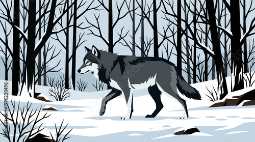 A lone wolf walks through a snowy winter forest.