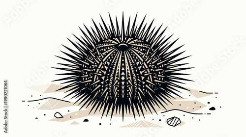 Sea Urchin Marine Life Illustration on Sandy Seabed.