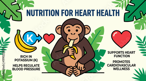 Monkey Eating Banana Promoting Heart Health Nutrition Information.