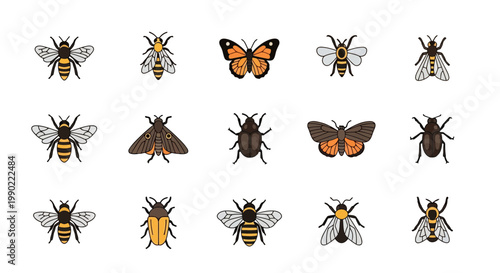 Collection of colorful insects and bees, featuring various species of butterflies and moths
