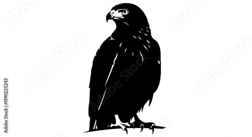Eagle bird silhouette vector icon perched with sharp beak and talons, monochrome wildlife graphic for logos and posters