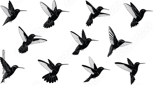 Hummingbird silhouette set, flying bird vector icons, nectar feeding colibri in motion, nature wild life elements, tropical garden wings, 2026.