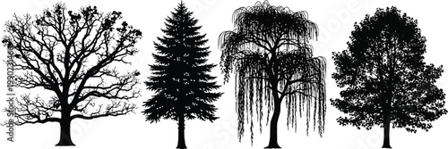 Tree Silhouettes on White Background