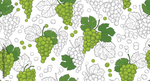 lush green grapes seamless pattern with bunches of fruit and leaves in both colored and line art styles for vineyard and wine designs.