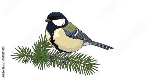 Charming illustration of a great tit bird perched gracefully on a green pine needle branch, isolated against a simple and clean white background.