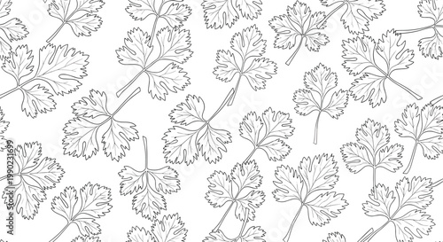 Minimalist seamless pattern featuring delicate line drawings of coriander or parsley leaves on a white background, perfect for culinary themed designs.