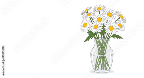 Beautiful bouquet of white daisies with yellow centers in a clear glass vase standing on a clean white background for floral decor.