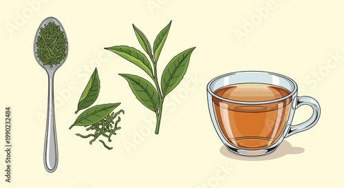 Set of tea elements featuring a glass cup of black tea, fresh green tea leaves, and a silver spoon filled with dried tea leaves.