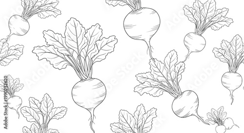 Seamless pattern of hand drawn beet vegetables with large lush leaves in a detailed black and white botanical line art style.