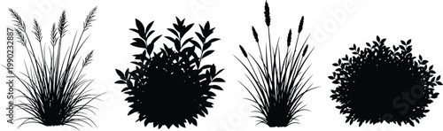 Black Cattail and Plant Silhouettes Isolated on White Background