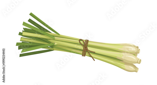 Bundle of fresh green lemongrass stalks is tied with a brown string, shown as a culinary herb for cooking and wellness.