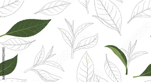 Green tea leaves and buds are shown in various stages of sketching and coloring in a fresh and natural seamless pattern.