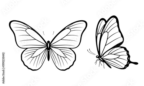 Minimalist Vector Set of Butterflies in Top and Side Profile View for Creative Projects PNG