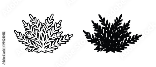 Minimalist evergreen bush vector set, black and white pine shrub icons, hand drawn coniferous plant silhouettes for landscape design and winter branding