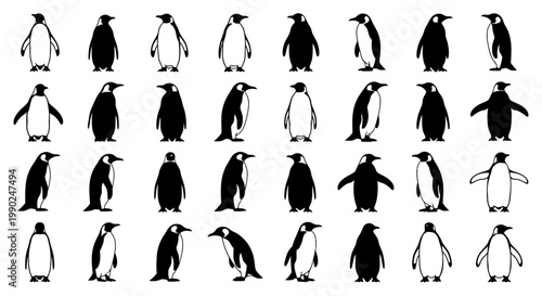 Collection of various penguin silhouettes in different poses on white background for design use