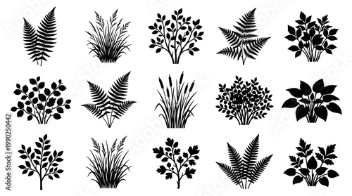 Nature  Gardening Plants Silhouettes Vector Icons Set - Bushes, Ferns, Grass, Shrubs, Hosta