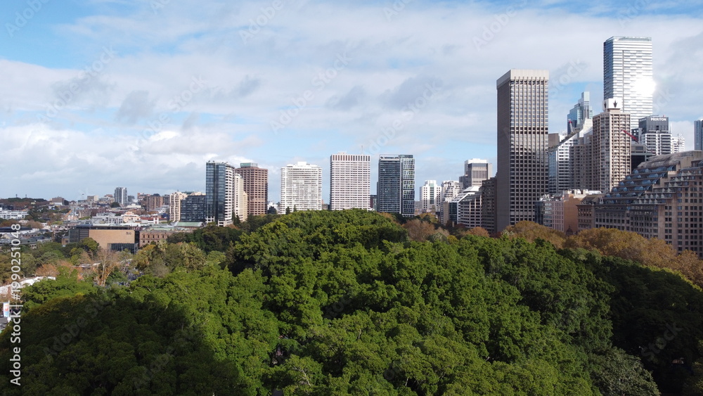 Obraz premium Central park in the middle of the city