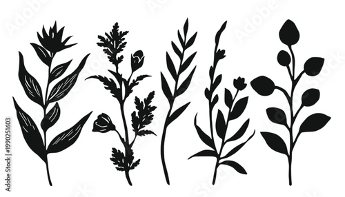 Wildflowers depicted as distinct black silhouettes are showcased in a row to provide a versatile collection of botanical assets for artistic design projects and creative visual storytelling needs.