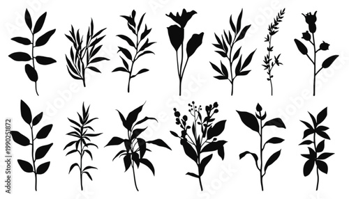 Plants and herbs depicted as an assortment of black silhouettes provide a detailed selection of organic forms that enhance the visual appeal of any professional design or artistic composition project.