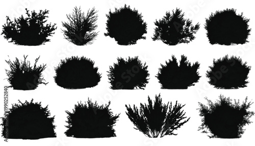 Shrubs arranged in a collection of fifteen detailed black silhouettes provide a versatile set of botanical elements for garden design projects and landscape architectural graphic resource.