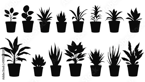 Houseplants in various pots are displayed as a uniform set of black silhouettes, providing a clean and organized graphic resource for interior design concepts or botanical themed project layouts.