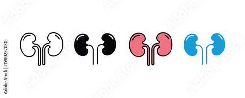 Human kidney anatomy icon set. medical and healthcare concept symbol. internal organ symbols for nephrology and urology health. vector illustration