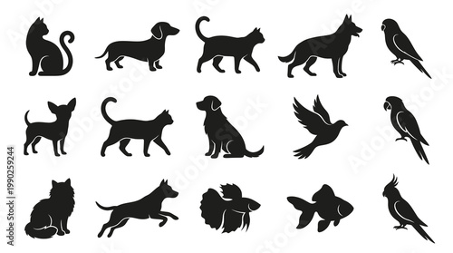 Animal and Pet Silhouettes Set - Black  White Vector Glyphs Collection