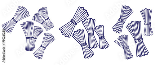 Bundles of straw or reeds illustrated for rustic design and natural themes.