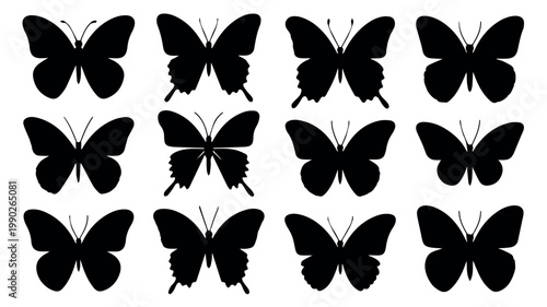 A diverse collection of twelve distinct black butterfly silhouettes, each showcasing unique wing shapes and positions, perfect for design elements.