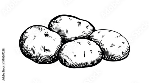 A simple yet detailed hand-drawn illustration showcases a group of four fresh, earthy potatoes with their natural imperfections, ready for cooking or harvest.