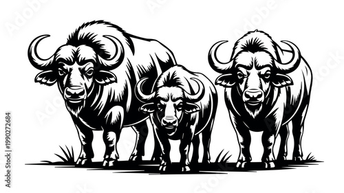 A powerful black and white vector illustration depicting three majestic African buffalo or Cape buffalo standing together in a realistic style on a white background.