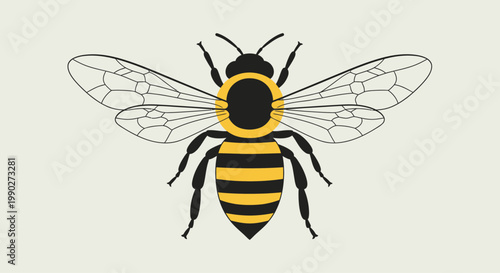 Detailed illustration of a honey bee.