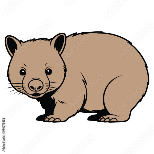 wombat