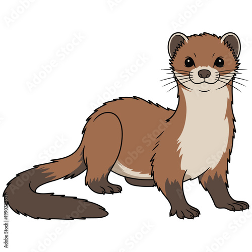 weasel
