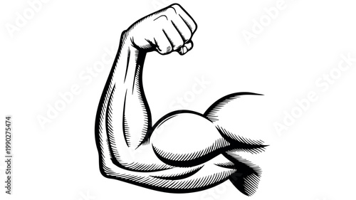 A strong, flexed bicep illustration, showcasing muscle definition and power, perfect for themes of strength and fitness.