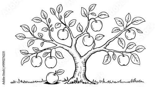 A bountiful apple tree laden with ripe fruit and lush leaves, rooted firmly in the ground, depicted in a classic black and white line art style.