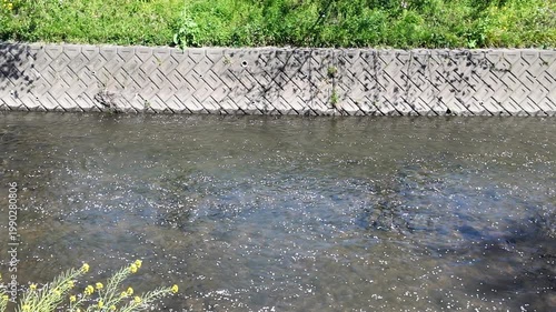 Handheld Camera Video of River Water Flow