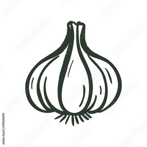 Hand drawn garlic doodle icon in outline style. Organic food ingredient isolated on white for cooking and recipe design.