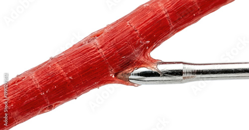 Close-Up of Electrical Connector with Red Insulation on Metallic Wire, isolated on transparent background