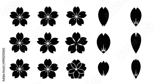 Elegant black cherry blossom vector icons and isolated petals for spring floral designs. Traditional Japanese sakura graphic elements set, perfect for various creative projects