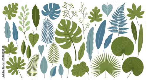 Vector illustration set featuring a diverse array of vibrant tropical and exotic leaves, botanically inspired jungle foliage elements for creative design projects