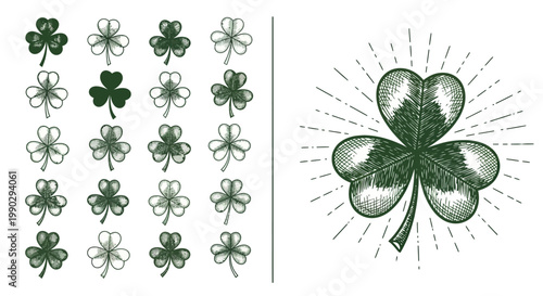 Shamrock clover illustrations collection for St