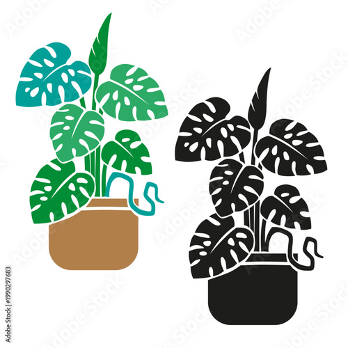 Monstera houseplant in pot, set with colorful and black silhouette styles, modern tropical indoor plant stylized vector illustration isolated on white background