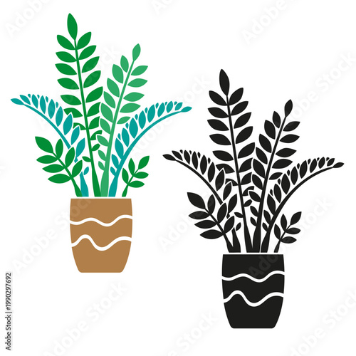 Zamioculcas houseplant in pot, set with colorful and black silhouette styles, modern tropical indoor plant stylized vector illustration isolated on white background